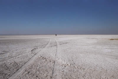 makgadikgadi-pans-265