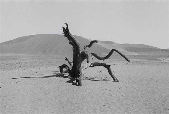 namibia-020